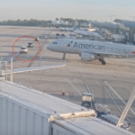 Video Shows Trucks Cross American Airlines Plane's Path, Panicking Pilot