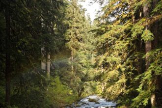 Local Adventurer » Travel Adventures in Las Vegas + World Wide