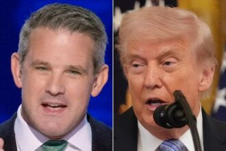 Adam Kinzinger Makes A Big Prediction About Trump And His Supporters