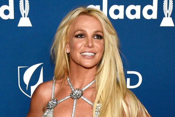 Britney Spears' Rep Explains Viral 'Knife; Incident