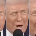 Critics Call This The ‘Most Desperate S**t’ From The Trump White House