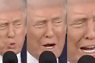 Critics Call This The ‘Most Desperate S**t’ From The Trump White House