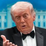 Ex-Trump Official Says Ballroom Project Is A Gift To Dems