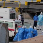 Hantavirus Unlikely To Be Next Pandemic: WHO