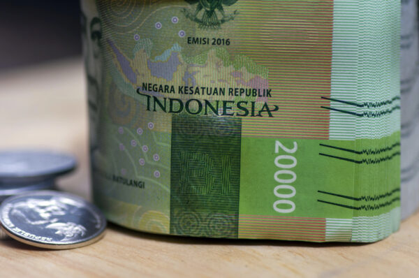 Indonesia&rsquo;s Fiscal Outlook in a Period of Divergent Signals