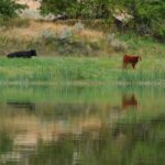 Interior Cancels Rule That Put Conservation On Equal Footing With Development