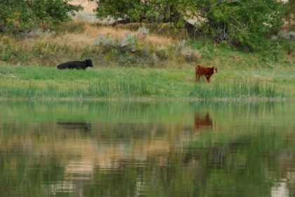 Interior Cancels Rule That Put Conservation On Equal Footing With Development