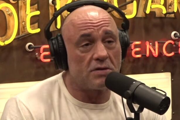Joe Rogan Shares Theory Behind The Timing Of Trump's UFO Files: 'This Is Being Cynical...'