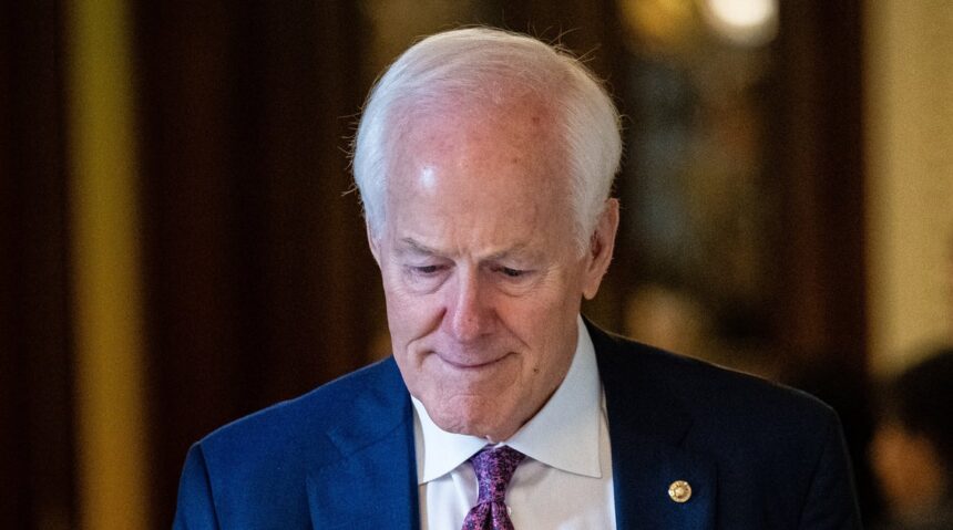 John Cornyn Accused Of Humiliating Himself For Trump Endorsement
