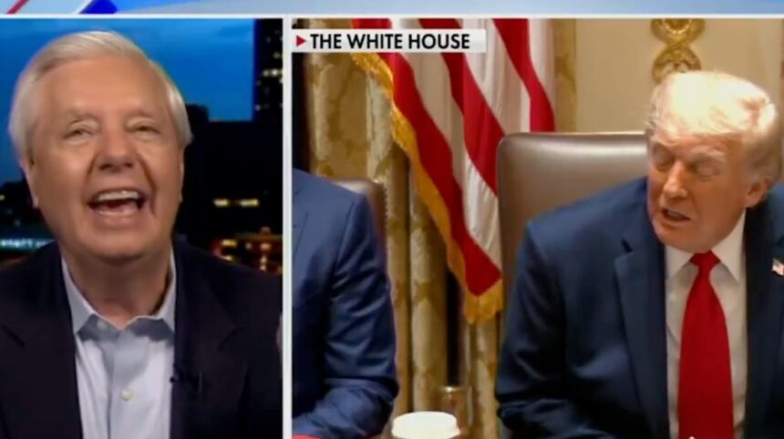 Lindsey Graham Ripped After 'Pathetic' New Trump Praise