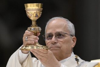 Pope Leo’s Brother Reveals How They Handle Their MAGA Sibling