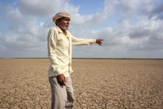 The Coming Food Crisis in South Asia