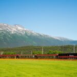 Train in Alaskan wilderness