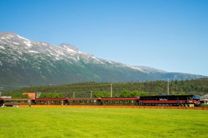 Train in Alaskan wilderness