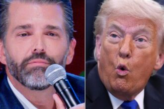 Trump Has Curious Response To Reports On Donald Trump Jr. Taking Over 'The Apprentice'