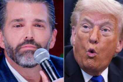 Trump Has Curious Response To Reports On Donald Trump Jr. Taking Over 'The Apprentice'