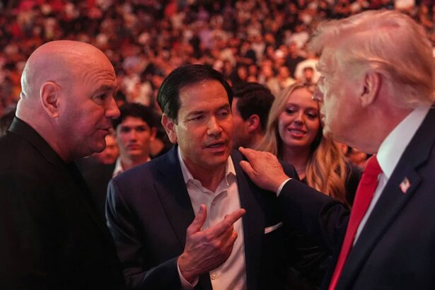 UFC's Dana White urges Trump to reverse gambling tax law