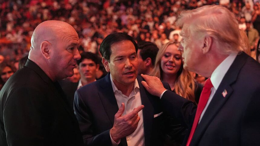 UFC's Dana White urges Trump to reverse gambling tax law