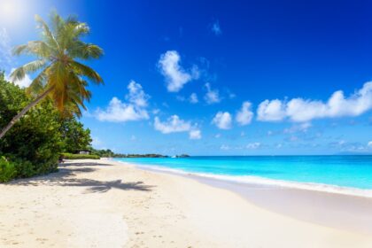 Gorgeous beach on perfect day in Antigua