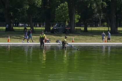 Critics Mock Trump's 'Sad' Excuse For Reflecting Pool Debacle