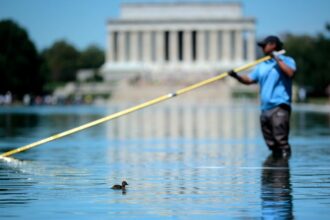 Critics Pounce As Trump Officials Race to Clear Algae-Filled Reflecting Pool