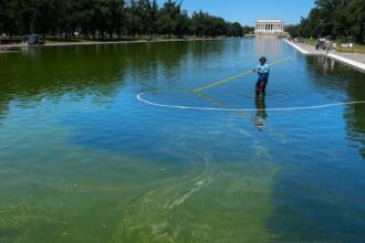'Does That Guy Realize We Can See': MS NOW Host Rips Fox News For Reflecting Pool Report