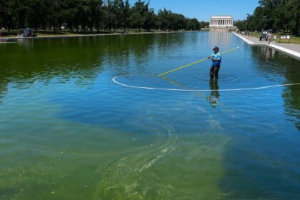 'Does That Guy Realize We Can See': MS NOW Host Rips Fox News For Reflecting Pool Report