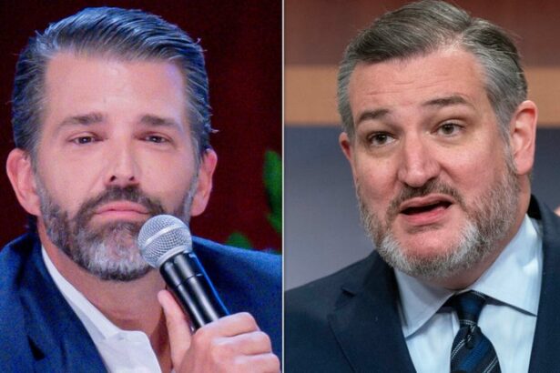 Donald Trump Jr. Unloads On Ted Cruz: 'Lying Thru His Teeth'