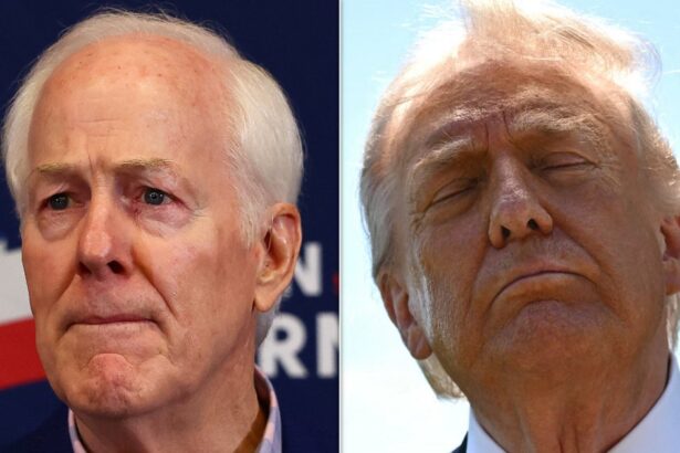 GOP Senator Predicts 'Miserable 2 Years' Ahead For Trump