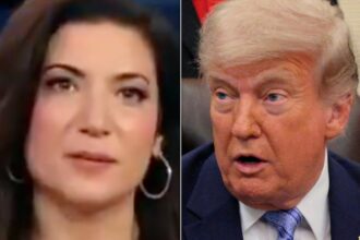 MAGA Host Makes On-Air Appeal To Trump To Help His Supporters