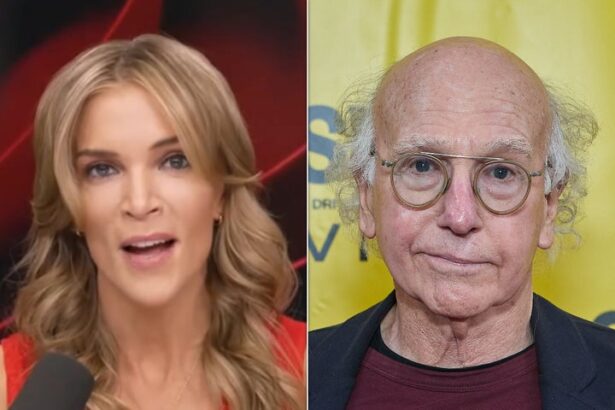 Megyn Kelly Rips Larry David Over His Trump Remarks