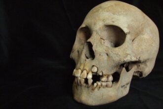Plague Likely Existed Earlier Than Previously Thought