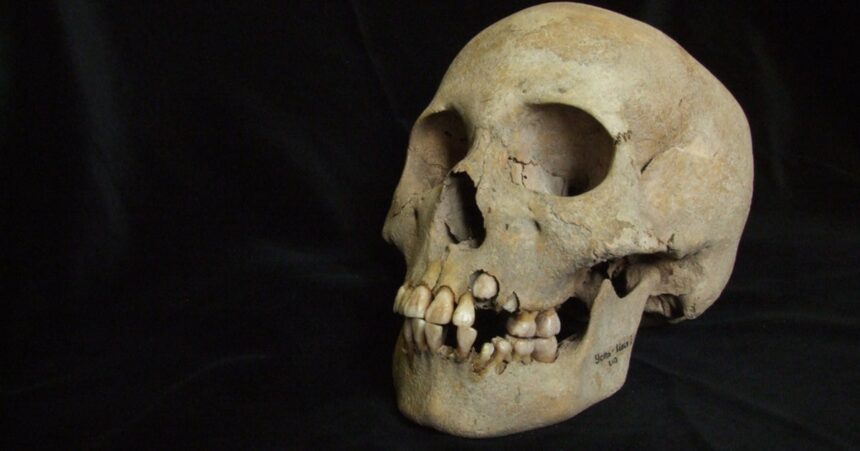Plague Likely Existed Earlier Than Previously Thought