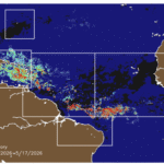 Record Levels of Sargassum Invading Florida Beaches in 2026