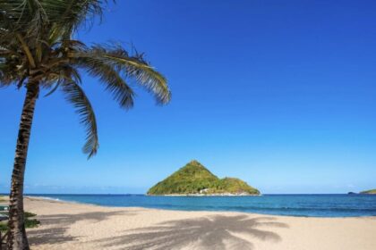 These 5 Countries Now Require All Travelers To Complete A Digital Entry Permit