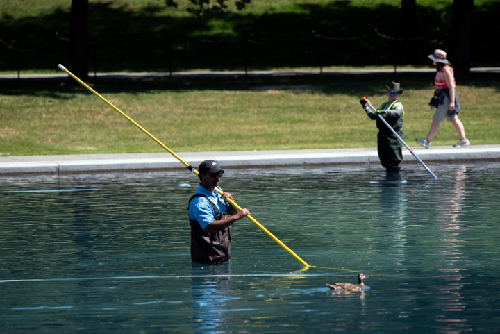 This Is How Things Are Going At The Reflecting Pool