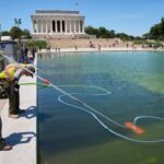 Trump Blames Unexpected Culprit For Reflecting Pool Fiasco