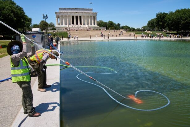 Trump Blames Unexpected Culprit For Reflecting Pool Fiasco