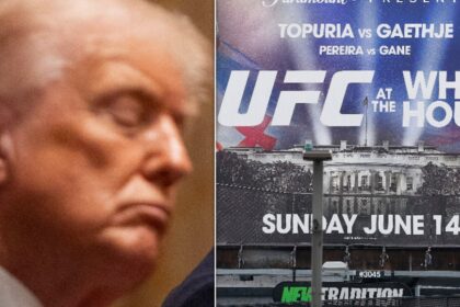 Trump Is Completely ‘Out Cold’ In New Yorker’s Damning UFC-Themed Cover