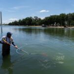Trump Tries To Blame Reflecting Pool Woes On Vandalism, Says It Will Likely Be Drained Again For Repairs