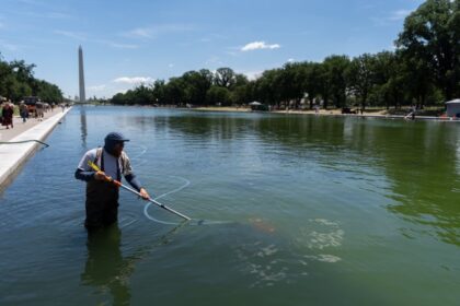 Trump Tries To Blame Reflecting Pool Woes On Vandalism, Says It Will Likely Be Drained Again For Repairs