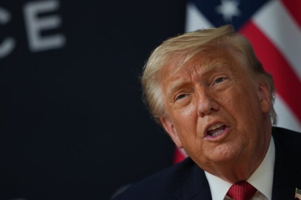 Trump Uses Question About EU Allies To Praise Himself