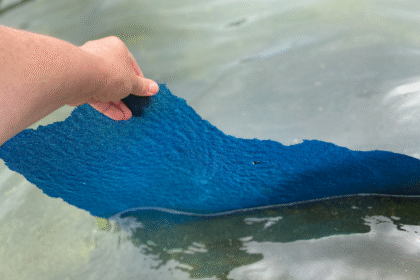 Trump's $14M Reflecting Pool Paint Job Is Now Peeling Off And Floating To The Surface