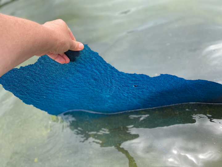 Trump's $14M Reflecting Pool Paint Job Is Now Peeling Off And Floating To The Surface