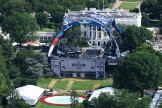 White House Requires $60M, 7 Federal Agencies For Trumps UFC Fight Staging