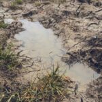 Woman Missing For 3 Days Found Alive Stuck On Back In Mud Puddle 'Like Quicksand'