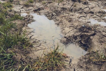 Woman Missing For 3 Days Found Alive Stuck On Back In Mud Puddle 'Like Quicksand'